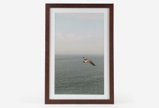 Moldura Essence intro